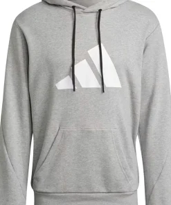 Adidas Future Icons Graphic Logo Sportswear Hoodie - Men's