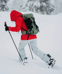 AK Summit GTX Pant - Women's