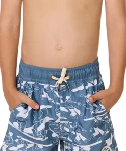 Artist Of the Search Ty Williams Volley Shorts - Boys