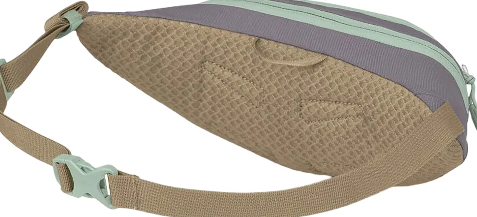 Daylite Mini Waist Pack 1L