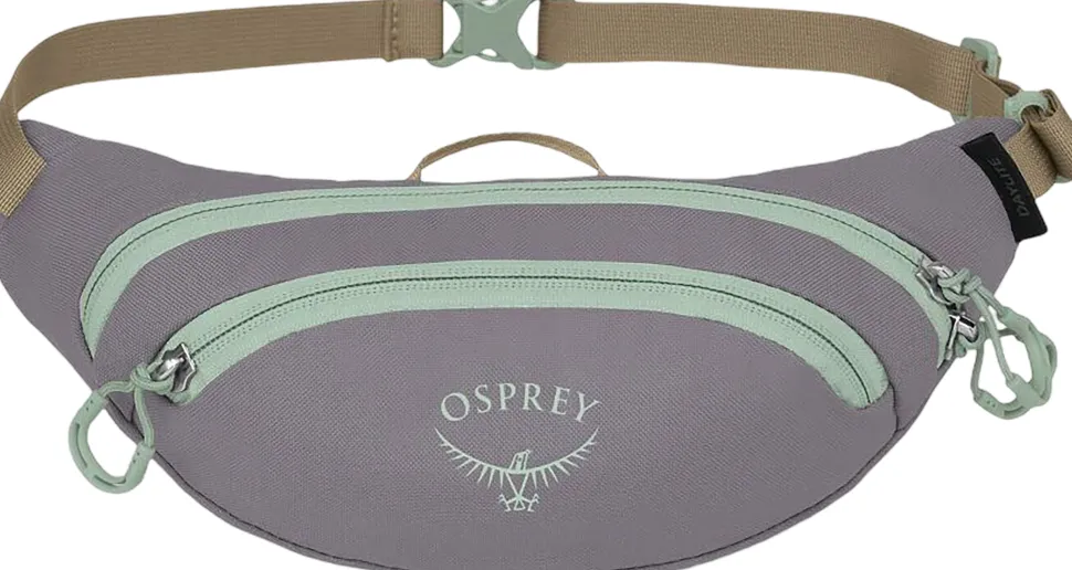 Daylite Mini Waist Pack 1L