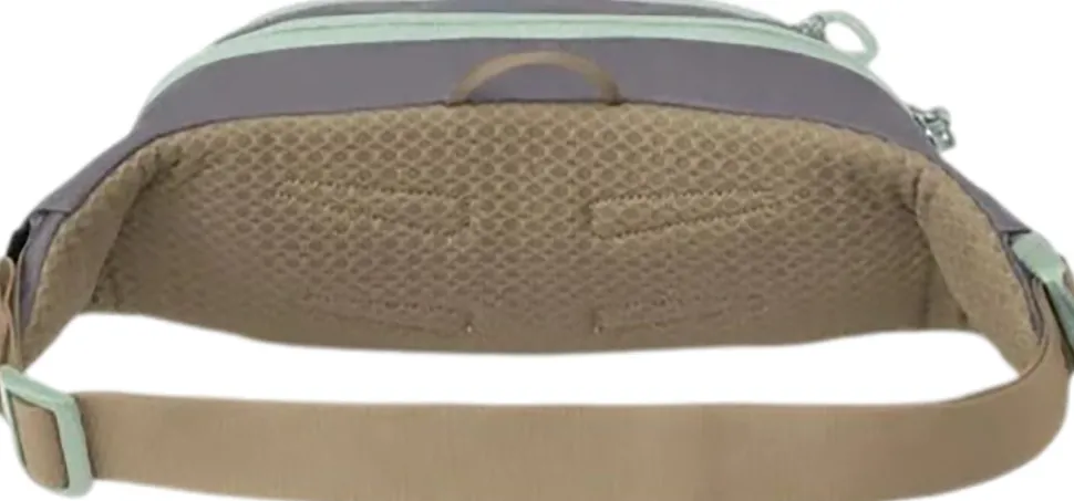 Daylite Waist Pack 2L
