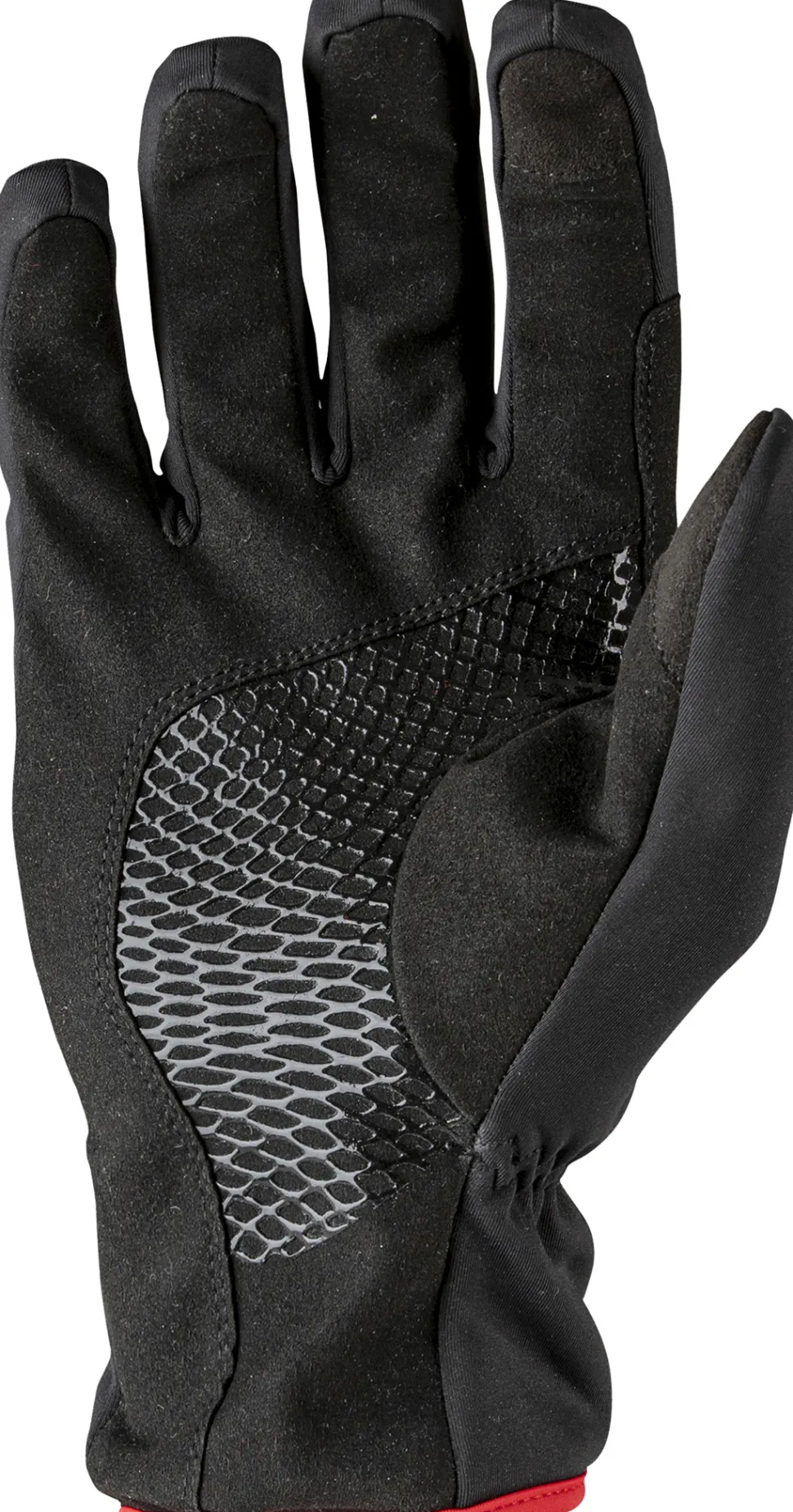 Entrata Thermal Gloves
