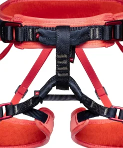 Ophir Harness - Kids
