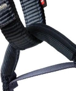 Ophir Harness - Kids