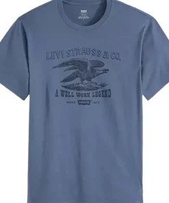 Relaxed Fit Graphic Short Sleeve T-Shirt - Men's