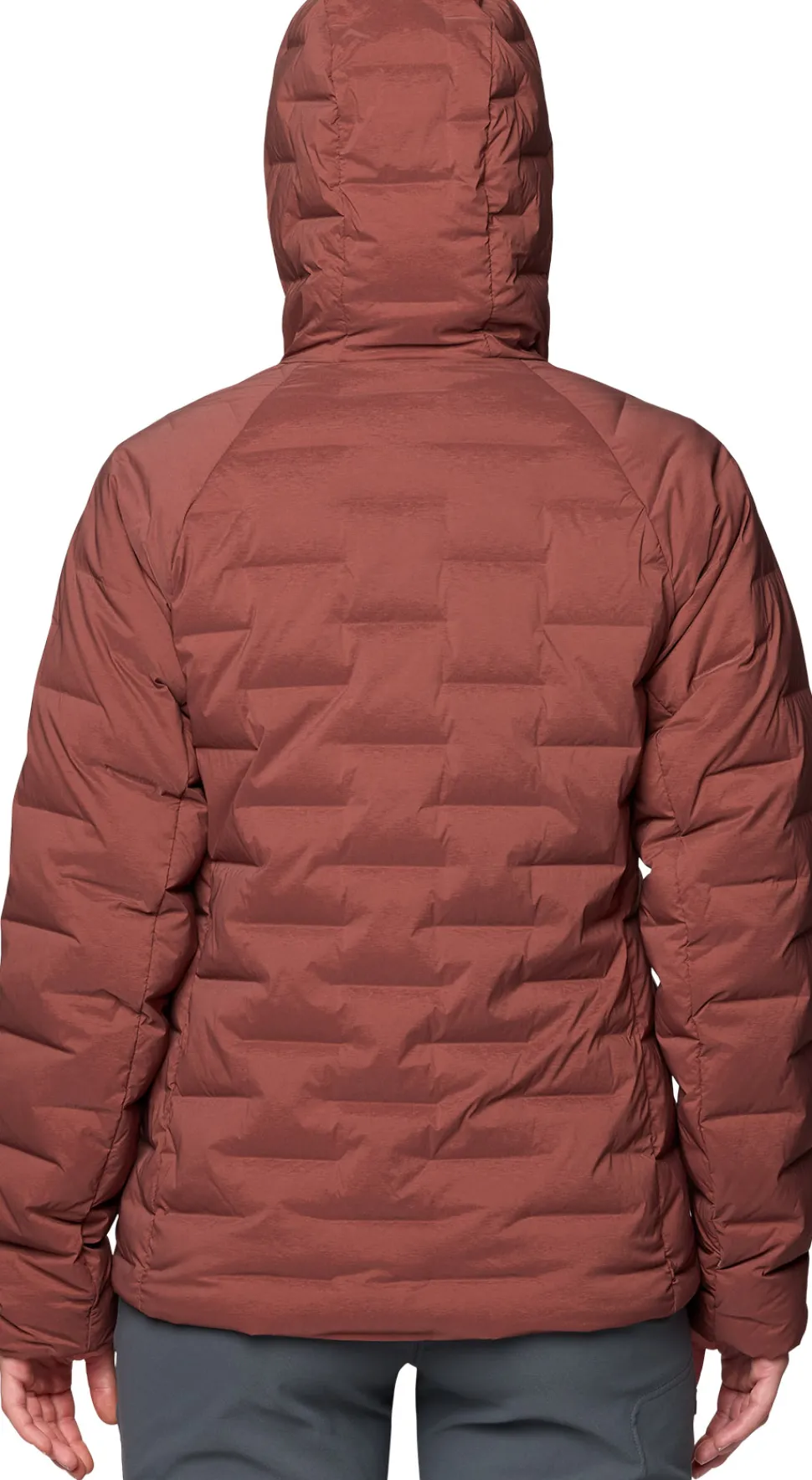 Stretchdown Hoody - Women's