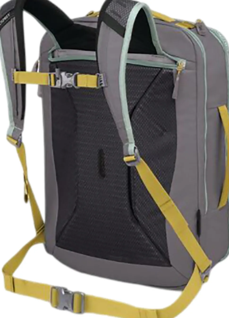 Transporter Carry-On Travel Pack 36L