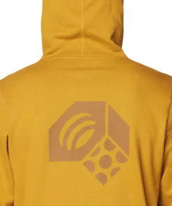 Tri-Color Logo Hoody - Men's